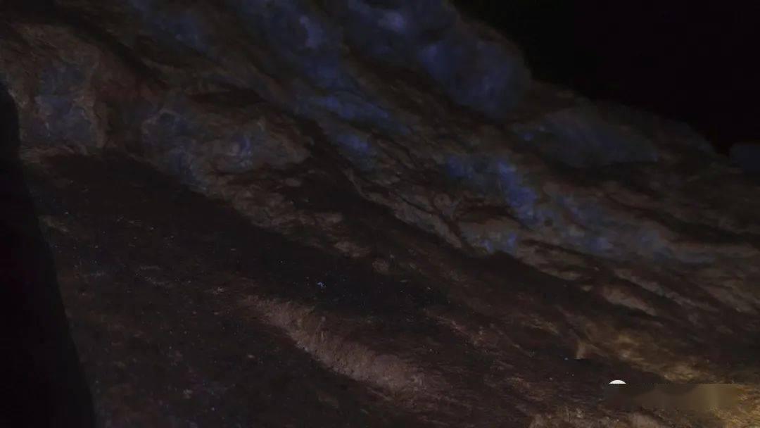 媒体人:张琳艳没在水平更高的联赛站稳脚跟,未来还有机会留洋